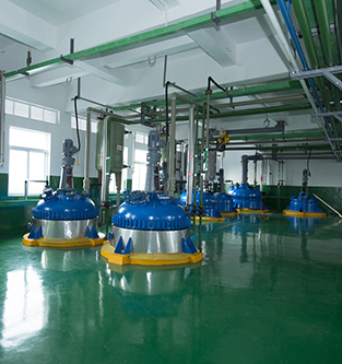 wm真人(china)官方网站有限公司